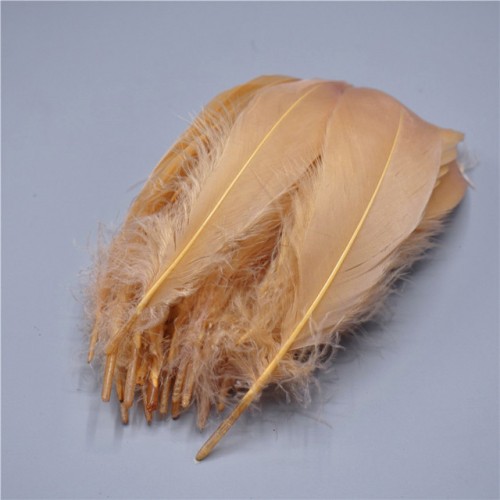 Vintage Μπεζ Σκούρο Φτερά για Κατασκευές- 50pcs