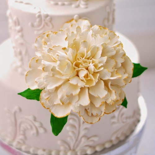 Κουπάτ σε Σχήμα Κάλυκα-3 Μεγέθη PME