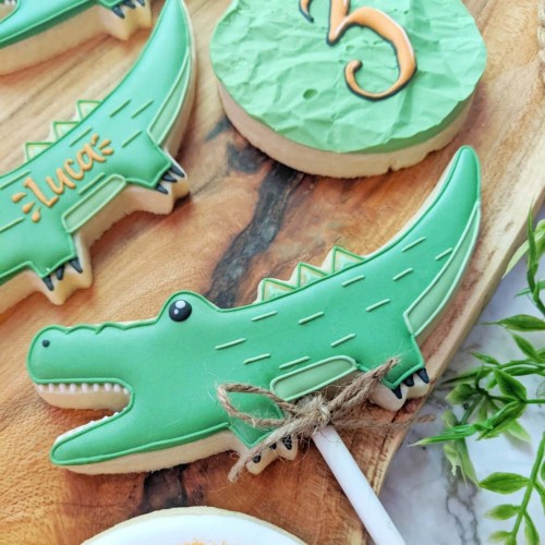 Κουπ πατ Κροκόδειλος