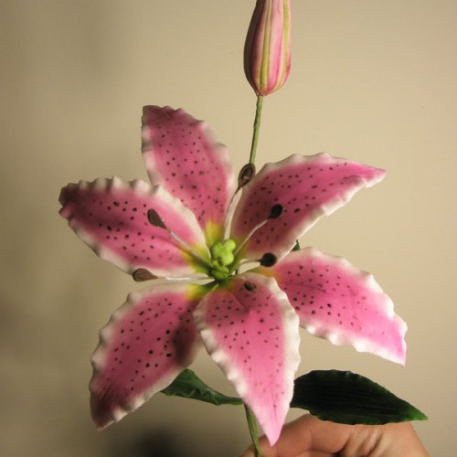 Σετ για Λίλιουμ Κουπάτ με Έμβολο PME