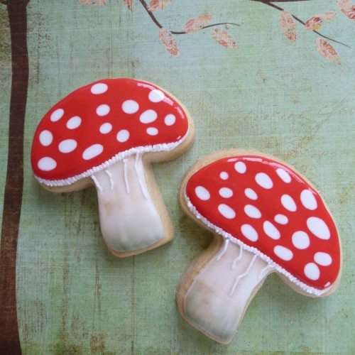 Κουπ πατ Μανιτάρι