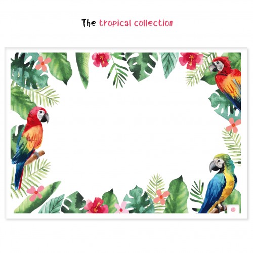 Χάρτινα Σουπλά Τροπικό Θέμα-Πολύχρωμοι Παπαγάλοι (12pcs)