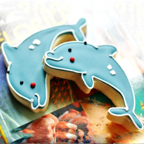 Κουπ πατ Δελφίνι