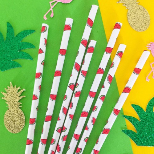 abcJoy Χάρτινα Καλαμάκια Καρπούζι  (25-pack)