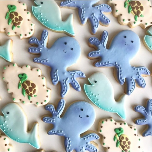 Κουπ πατ Χταπόδι