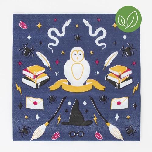 Χαρτοπετσέτες Μάγοι Και Μάγισσες